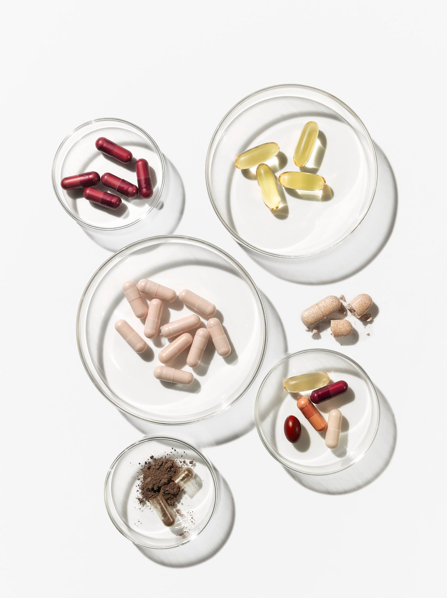 Advanced Nutrition Programme Produkte