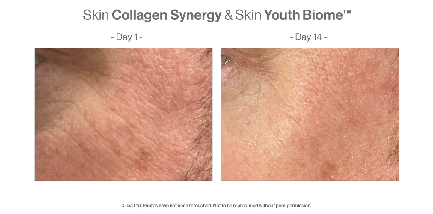 Advanced Nutrition Programme - Skin Collagen Synergy