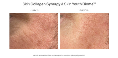 Advanced Nutrition Programme - Skin Collagen Synergy