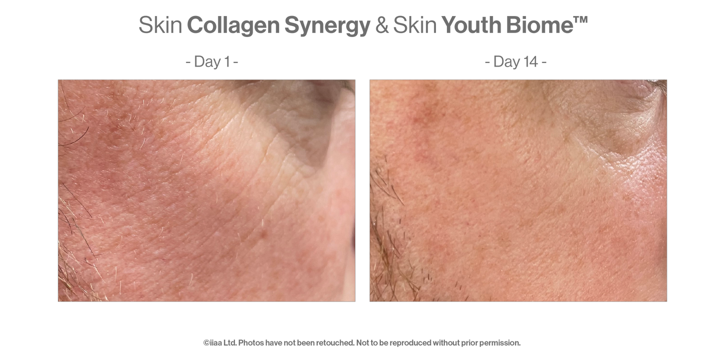 Advanced Nutrition Programme - Skin Collagen Synergy